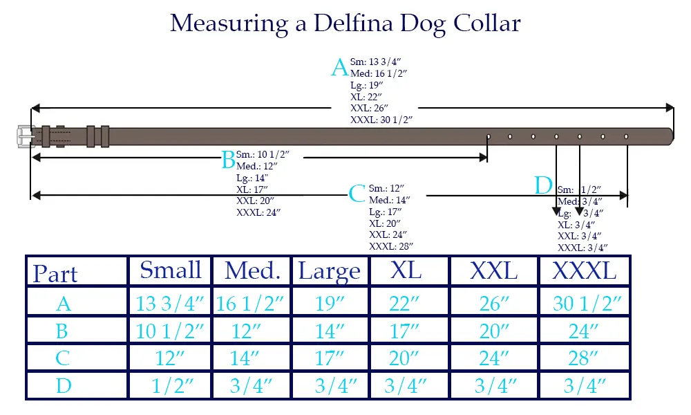 Custom Collar : Blue Sky Dog Collar - Large