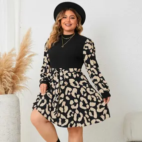 Honey Plus Size Splicing Dress