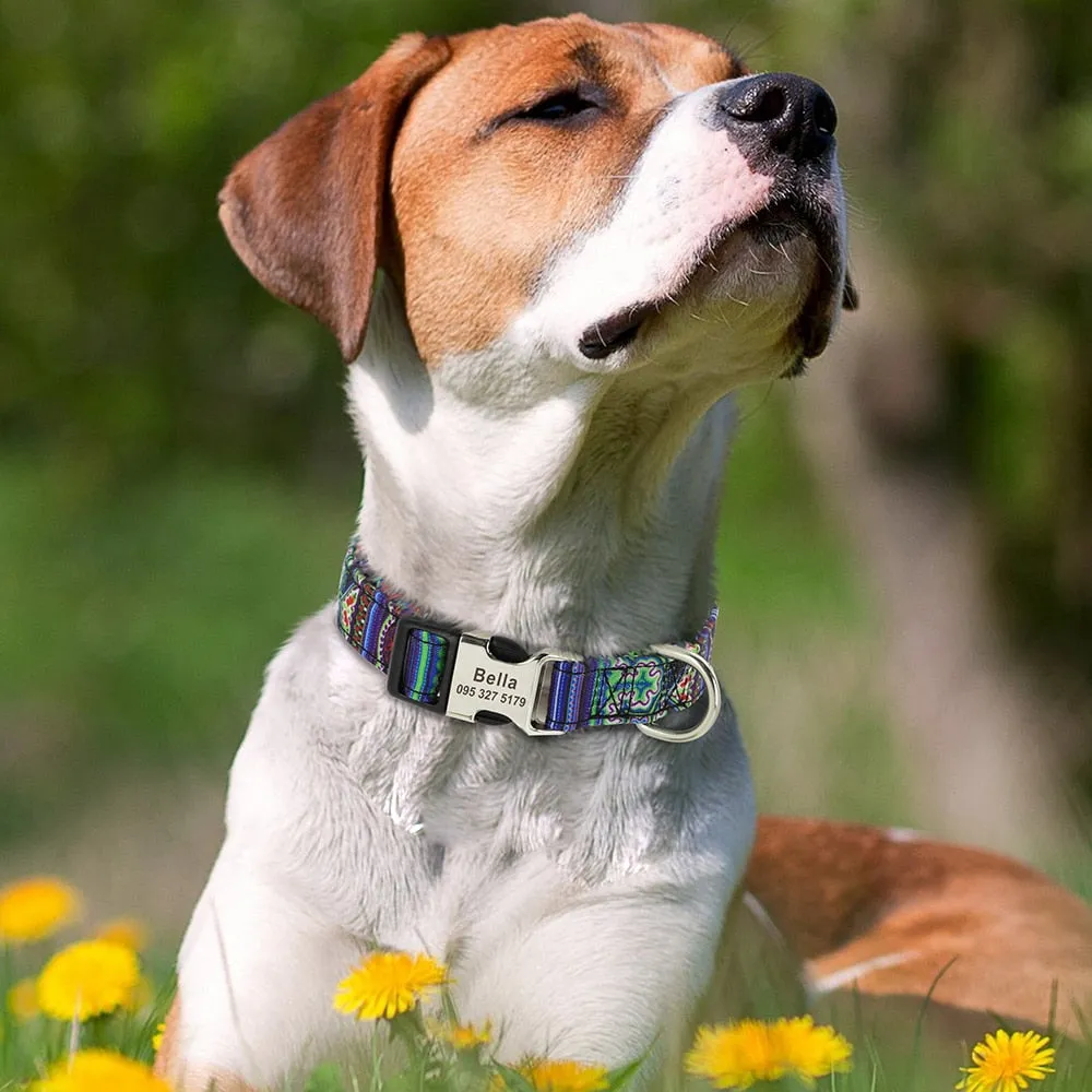 Lynx Personalised Dog Collar Laser Engraved