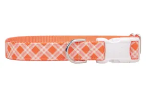 Orangeade Plaid Dog Collar