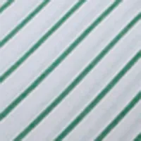Striped Poplin Crop Top