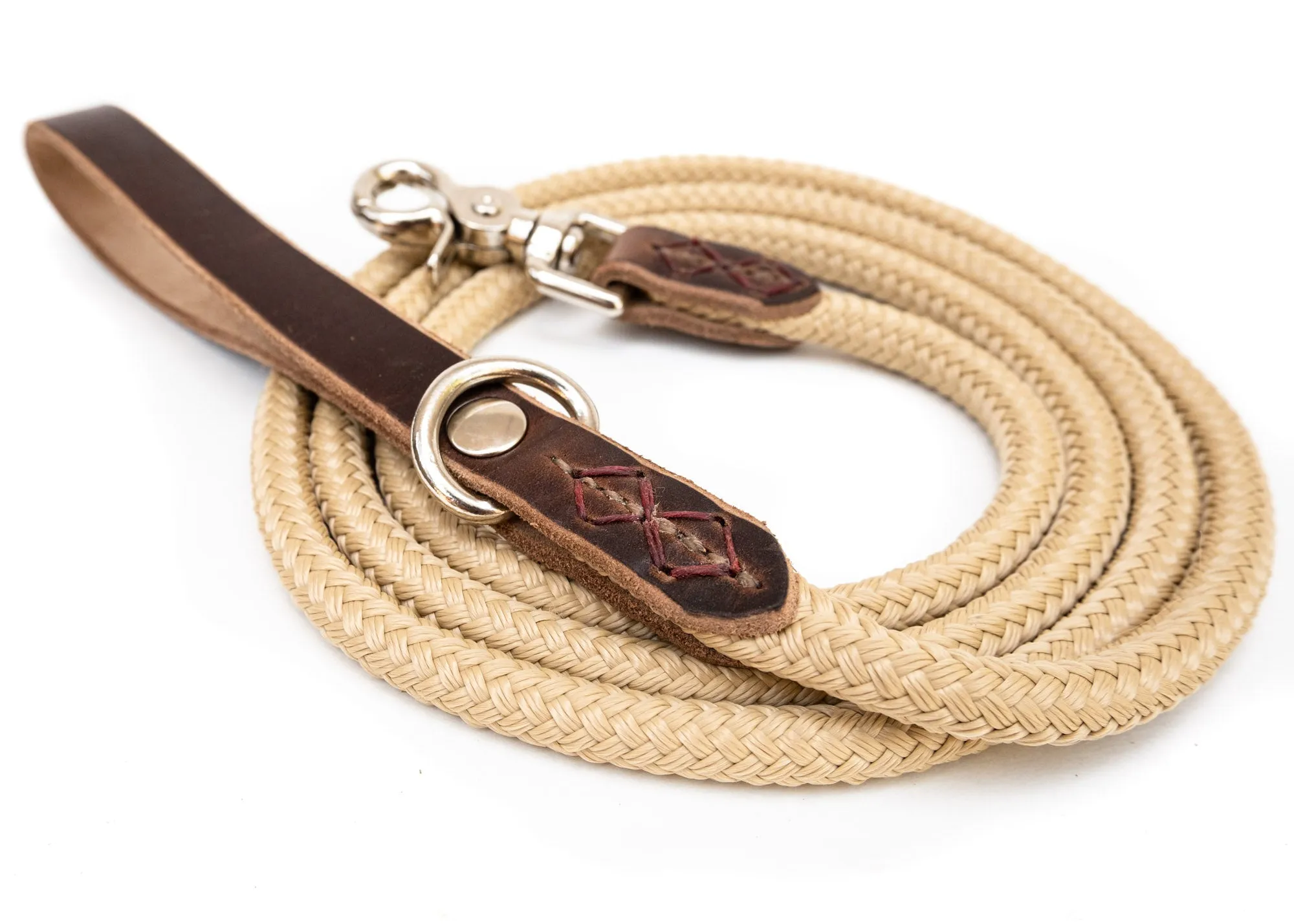 The Daily Adventure Collar